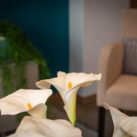 Апартаменты 1 Bed Boutique-style